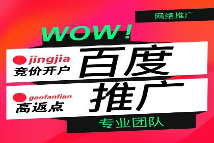 百度竞价广告成功案例：如何快速提升品牌曝光度